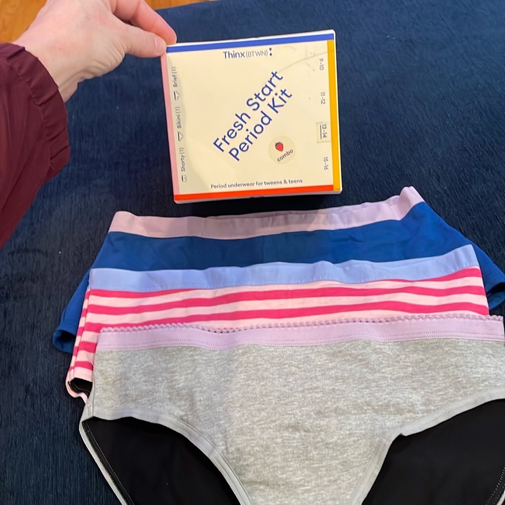Thinx Blue and Pink Striped Underwear Accessories